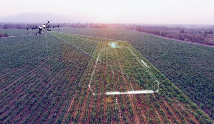 यूरोप और कनाडा में विस्तार की तैयारी में खेतीबडी, एआई आधारित कृषि डेटा सॉल्यूशन पर जोर