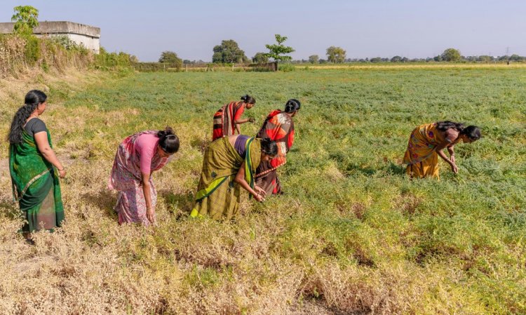 कांग्रेस नेता नरेश कुमार का दिल्ली की मुख्यमंत्री रेखा गुप्ता पर निशाना, कहा किसानों के मुद्दों पर दोहरा रवैया अपना रही हैं सीएम