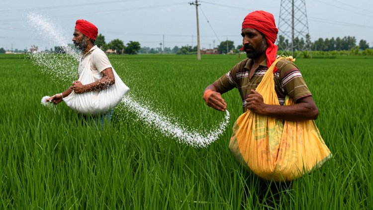 उर्वरक बिक्री को नियंत्रित करने की तैयारी, हरियाणा और तेलंगाना से होगी 'नेशनल फ्रेमवर्क' की शुरुआत