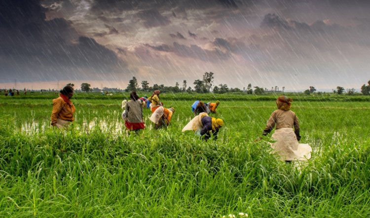 मौसम विभाग का इस वर्ष सामान्य से कम मानसून का अनुमान, खरीफ उत्पादन और महंगाई को लेकर बढ़ी चिंता