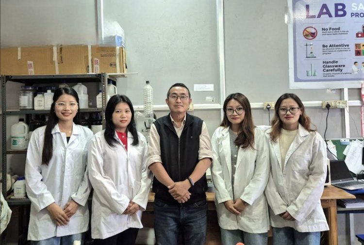 दवाओं, एंटीबैक्टीरियल और कैंसर अनुसंधान में मददगार बना एक खरपतवार