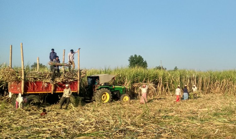 नया शुगरकेन कंट्रोल ऑर्डर: 25 किमी होगी चीनी मिलों की दूरी, खांडसारी इकाइयों पर सख्ती, FRP भुगतान अनिवार्य