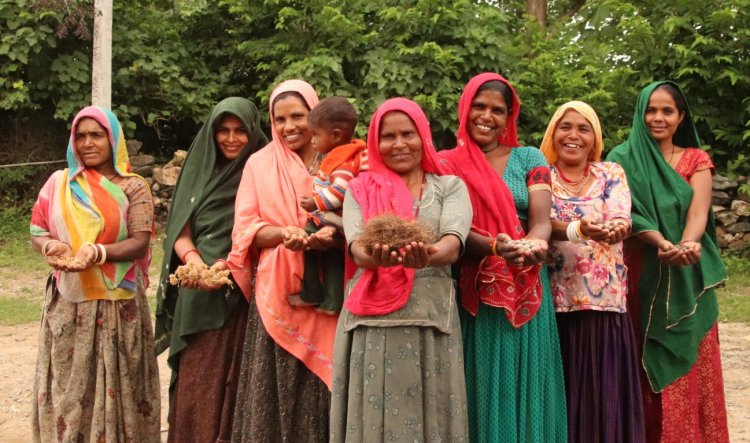 राजस्थान में महिलाओं के लिए प्रत्येक ग्राम पंचायत में होंगे कृषि प्रशिक्षण कार्यक्रम