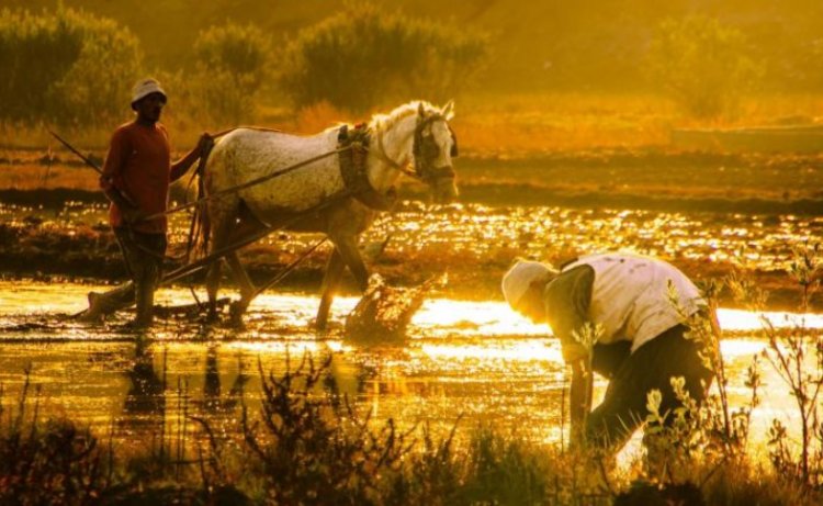 WMO ने मई-जुलाई तक अल नीनो की वापसी के संकेत दिए, बारिश के पैटर्न में बदलाव और व्यापक गर्मी की चेतावनी