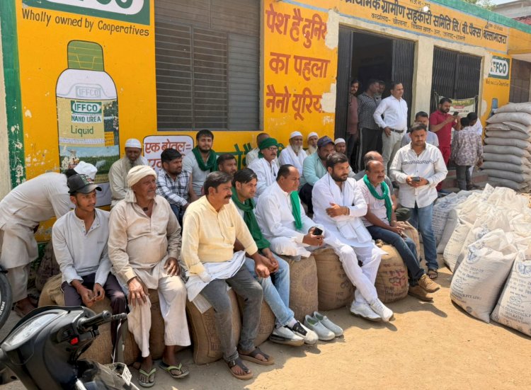 सरकारी खरीद में दिक्कतों से जूझते किसान, MSP से कम भाव पर गेहूं बेचने को मजबूर