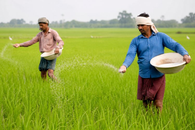 उर्वरक खपत घटाने पर जोर: देशव्यापी मैपिंग पूरी, किसान आईडी के जरिये डायवर्जन रोकने की तैयारी