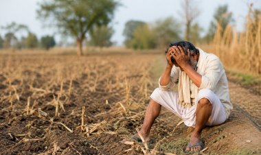 भारत में हर घंटे एक किसान या खेत मजदूर की आत्महत्या, महाराष्ट्र में सबसे ज्यादा मामले