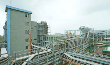 डीसीएम श्रीराम का मुनाफा 2025-26 में 42% बढ़ा, 200% अंतिम डिविडेंड की घोषणा, कृषि कारोबार का करेगी विस्तार