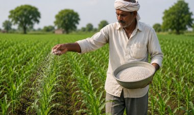 उर्वरक कंपनियों ने बढ़ाए कॉम्प्लेक्स उर्वरकों के दाम, 2450 रुपये तक पहुंची एनपीके की कीमतें