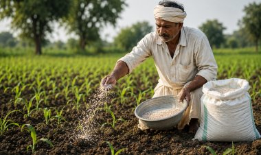 मध्यप्रदेश में उर्वरकों की नई दरें तय, पिछले साल 1720 रुपये में बिका एनपीके अब 2450 रुपये में मिलेगा