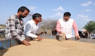मध्यप्रदेश ने खरीदा रिकॉर्ड 104 लाख टन गेहूं, करीब 13.75 लाख किसानों से हुई खरीद