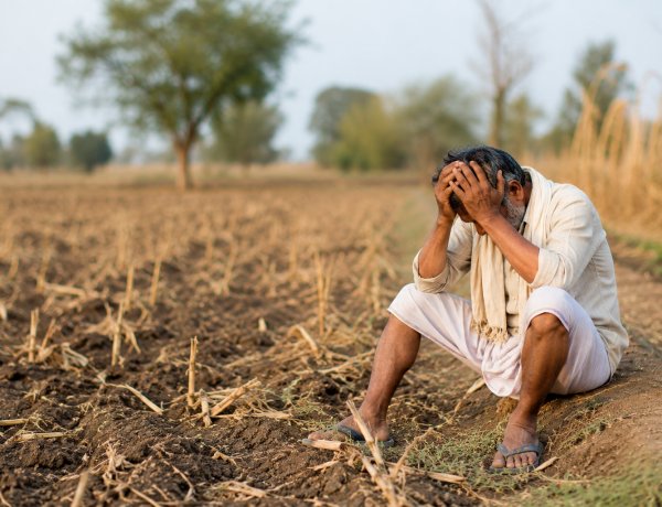 भारत में हर घंटे एक किसान या खेत मजदूर की आत्महत्या, महाराष्ट्र में सबसे ज्यादा मामले