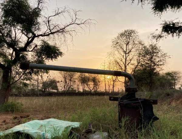 सूखते कुएं, बढ़ते कर्ज: झुंझुनू के नवलगढ़ में भू-जल संकट ने किसानों से छीनी हरियाली