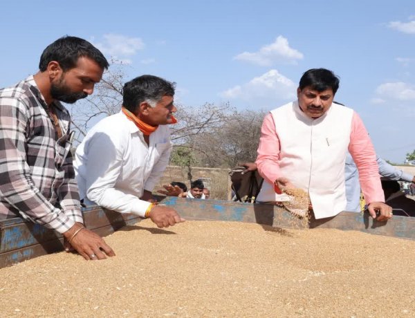 मध्यप्रदेश ने खरीदा रिकॉर्ड 104 लाख टन गेहूं, करीब 13.75 लाख किसानों से हुई खरीद