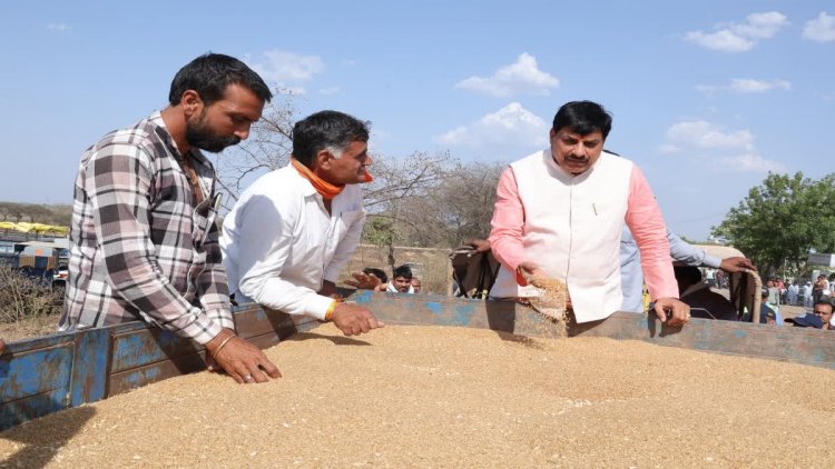 मध्यप्रदेश ने खरीदा रिकॉर्ड 104 लाख टन गेहूं, करीब 13.75 लाख किसानों से हुई खरीद