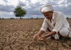 बारिश को तरसे देश के कई इलाके, महाराष्ट्र में सामान्य से 75 फीसदी कम बारिश, खरीफ की फसलों पर संकट के बादल