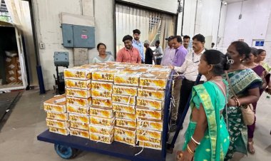 महिला किसान उत्पादक कंपनी के आम पहली बार झारखंड से इंग्लैंड निर्यात, एपीडा ने निभाई अहम भूमिका