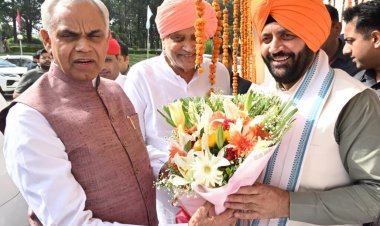 हरियाणा में पंचायती भूमि पर प्राकृतिक खेती को बढ़ावा देने के लिए बनेगी नई नीति