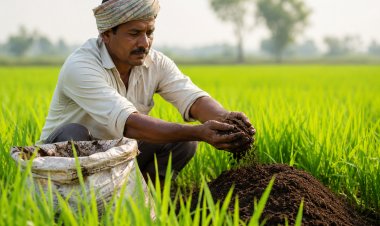 खाड़ी संकट के बीच किसानों ने जैविक खाद की खरीद तीन गुना से ज्यादा बढ़ाई
