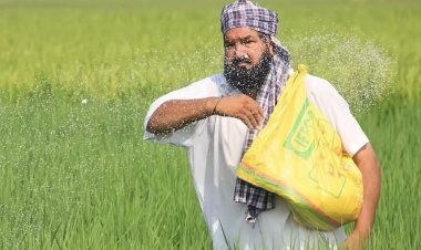 केंद्र ने पंजाब में यूरिया कमी के दावों को नकारा, किसानों के राज्यव्यापी विरोध के बीच कहा- पर्याप्त भंडार उपलब्ध