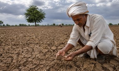 महाराष्ट्र में सामान्य से 75 फीसदी कम बारिश, खरीफ की फसलों पर संकट के बादल