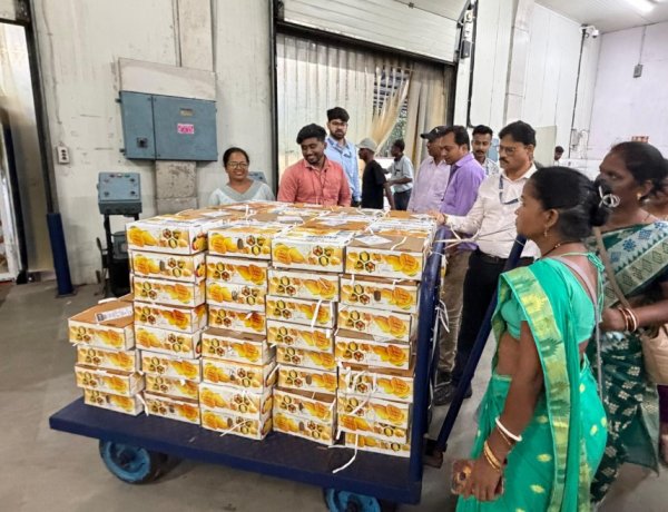 महिला किसान उत्पादक कंपनी के आम पहली बार झारखंड से इंग्लैंड निर्यात, एपीडा ने निभाई अहम भूमिका