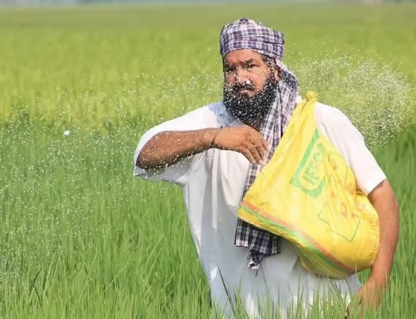 केंद्र ने पंजाब में यूरिया कमी के दावों को नकारा, किसानों के राज्यव्यापी विरोध के बीच कहा- पर्याप्त भंडार उपलब्ध