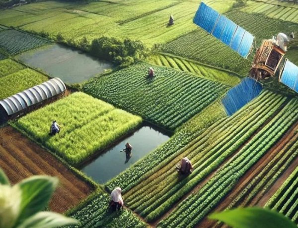 फसलों में स्ट्रेस की मिलेगी रियल टाइम जानकारी, टेकमी2स्पेस और क्यूओएसमिक विकसित करेंगी रिले नेटवर्क