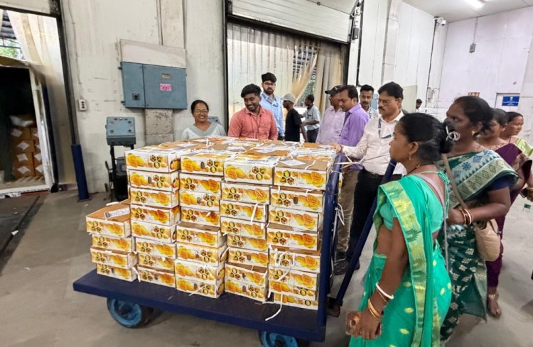 महिला किसान उत्पादक कंपनी के आम पहली बार झारखंड से इंग्लैंड निर्यात, एपीडा ने निभाई अहम भूमिका