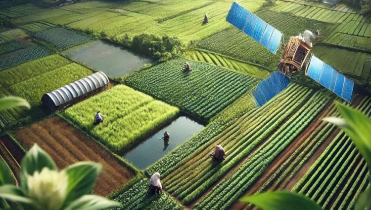 फसलों में स्ट्रेस की मिलेगी रियल टाइम जानकारी, टेकमी2स्पेस और क्यूओएसमिक विकसित करेंगी रिले नेटवर्क