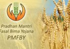 बीमा कंपनियों को फसल बीमा से हर साल हो रही 10 हजार करोड़ रुपये से अधिक की कमाई