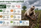 कमजोर मानसून से खरीफ बुवाई 21% पिछड़ी, धान का रकबा 13% कम, तिलहन बुवाई में बड़ी गिरावट