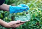 नीति आयोग का AgriBio 2.0 मिशनः CRISPR तकनीक से जलवायु अनुकूल फसलें और जैविक इनपुट विकसित करने का लक्ष्य