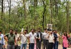 देहरादून–ऋषिकेश हाईवे पर पेड़ों की कटाई स्थगित, पर्यावरण प्रेमियों के विरोध के बाद पीछे हटी सरकार