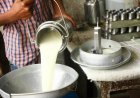 दूध और दुग्ध उत्पादों के 14,668 नमूने मानकों पर खरे नहीं उतरे, सरकार ने संसद में रखे आंकड़े