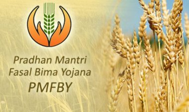 बीमा कंपनियों को फसल बीमा से हर साल हो रही 10 हजार करोड़ रुपये से अधिक की कमाई