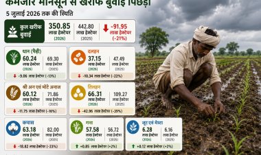 कमजोर मानसून से खरीफ बुवाई 21 फीसदी पिछड़ी, धान का रकबा 13 फीसदी कम, तिलहन बुवाई में बड़ी गिरावट