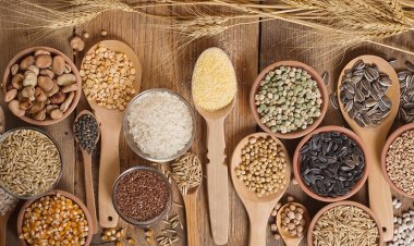 USDA ने घटाया वैश्विक अनाज उत्पादन अनुमान, भारत का गेहूं उत्पादन 12.10 करोड़ टन और चावल 15 करोड़ टन पर बरकरार