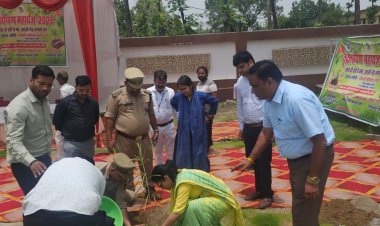 उत्तर प्रदेश सरकार के हरित महाअभियान में शिक्षा विभाग के संस्थानों में रोपे गए 43 लाख पौधे