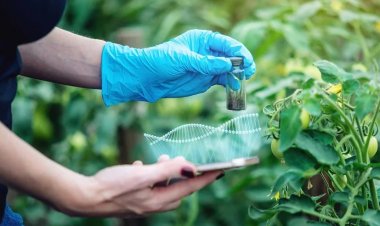 नीति आयोग का AgriBio 2.0 मिशनः CRISPR तकनीक से जलवायु अनुकूल फसलें और जैविक इनपुट विकसित करने का लक्ष्य