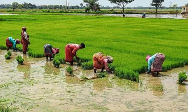 जुलाई के दूसरे हफ्ते राज्यवार बारिश 99 प्रतिशत तक कम, लेकिन अगले 5 दिन अधिकतर राज्यों में वर्षा का अनुमान