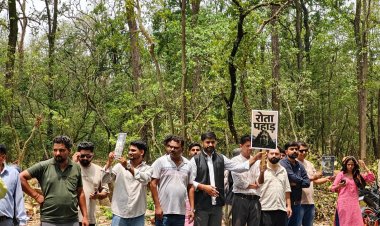देहरादून–ऋषिकेश हाईवे पर पेड़ों की कटाई स्थगित, पर्यावरण प्रेमियों के विरोध के बाद पीछे हटी सरकार