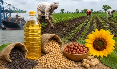 कमजोर मानसून से तिलहन उत्पादन पर संकट, खाद्य तेल आयात बिल 1.75 लाख करोड़ के पार पहुंचने की आशंका