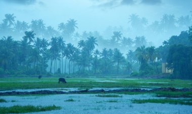 मानसून बारिश की कमी घटकर 17% पर आई लेकिन अल नीनो हुआ और मजबूत; जानिए क्या है अगले दो सप्ताह के लिए IMD का पूर्वानुमान