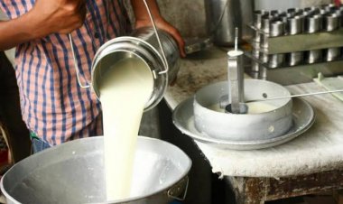 दूध और दुग्ध उत्पादों के 14,668 नमूने मानकों पर खरे नहीं उतरे, सरकार ने संसद में रखे आंकड़े