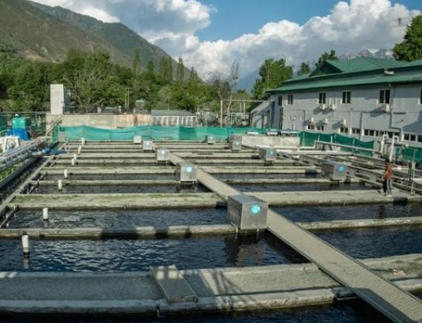 खैबर ग्रुप ने कश्मीर में भारत की सबसे बड़ी RAS आधारित हिमालयन ट्राउट मछली पालन इकाई शुरू की