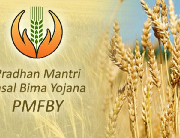 बीमा कंपनियों को फसल बीमा से हर साल हो रही 10 हजार करोड़ रुपये से अधिक की कमाई