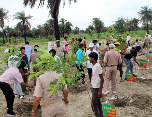 यूपी में 12 जुलाई को ‘पौधरोपण महायज्ञ 2026’ के लिए वन विभाग की तैयारी पूरी, 2600 से अधिक नर्सरियों में 57.62 करोड़ पौधे तैयार