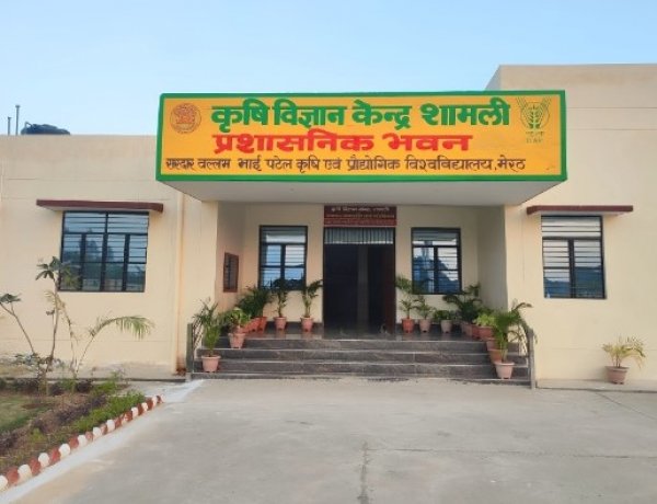 प्रयोगशाला से खेत तक की अधूरी यात्रा: क्यों पूरी क्षमता से काम नहीं कर पा रहे कृषि विज्ञान केंद्र?