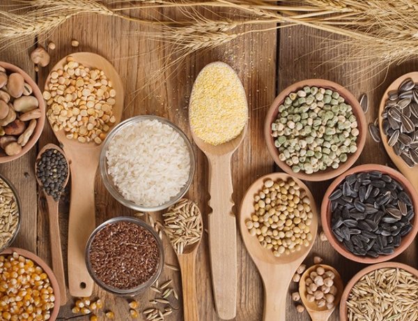 USDA ने घटाया वैश्विक अनाज उत्पादन अनुमान, भारत का गेहूं उत्पादन 12.10 करोड़ टन और चावल 15 करोड़ टन पर बरकरार
